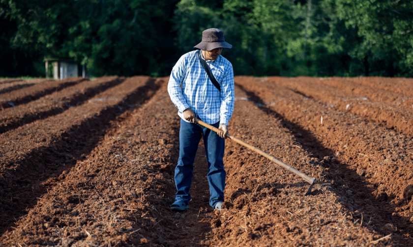 Ontario adds $100 million to provincial insurance program for farmers