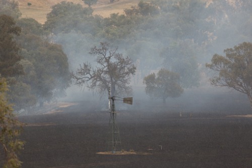 Rain brings respite to Australia's fire-ravaged towns