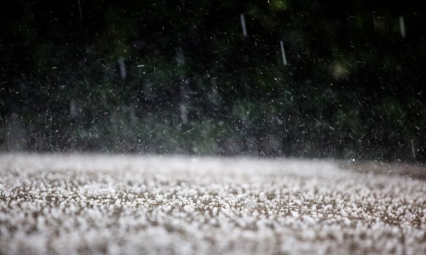 Insurance payouts for Hyogo Prefecture hailstorm reach ¥56.4 billion
