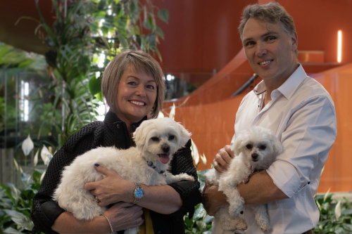 PD Insurance launches in New Zealand to provide pet insurance
