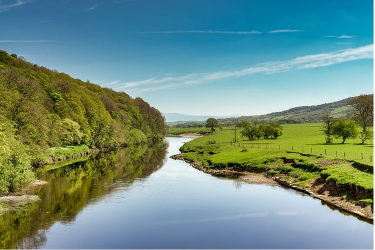Forest & Bird calls on government to tackle flood risk by ‘making room for rivers’