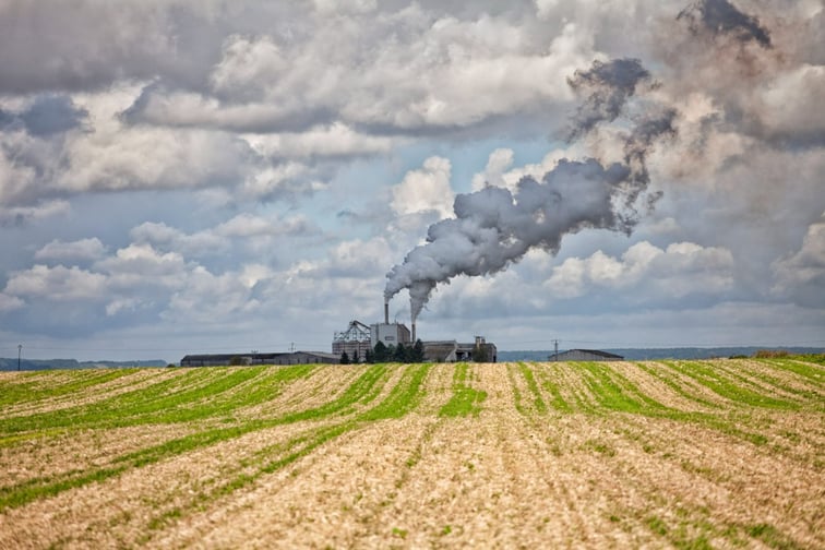 FMG weighs in on agricultural emissions pricing proposal