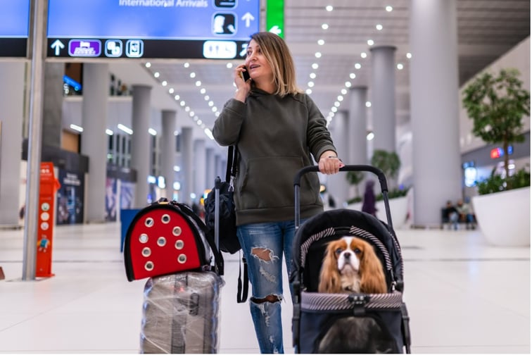 Southern Cross revamps travel insurance to include pets, child care