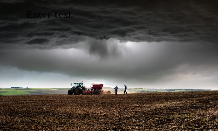 December hailstorms result in $6 million in losses for arable farmers