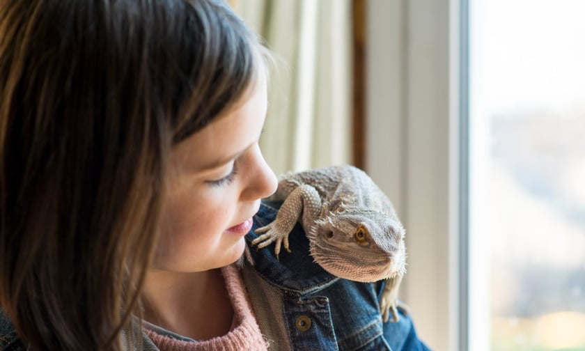 Petcover New Zealand introduces coverage for exotic pets