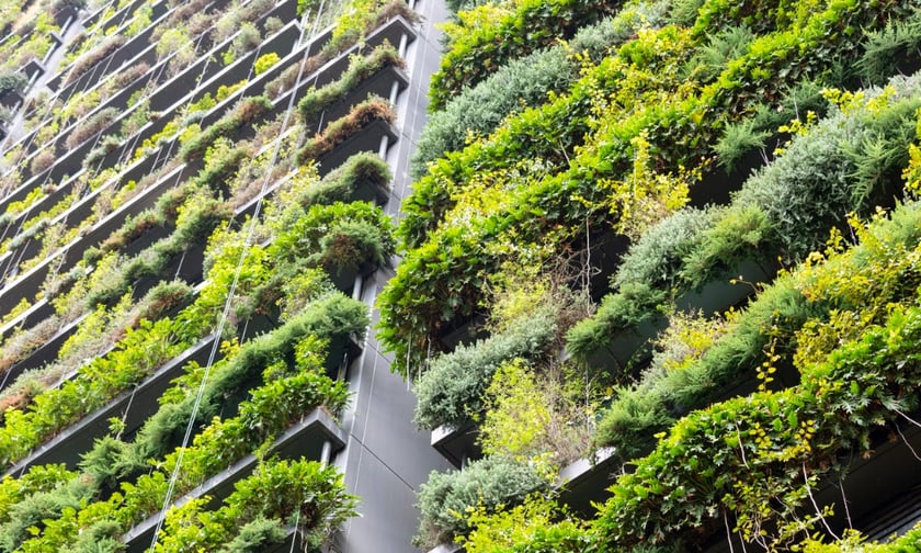 How to manage risk of green walls