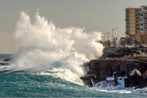 Crown insurer urges strong tsunami preparedness