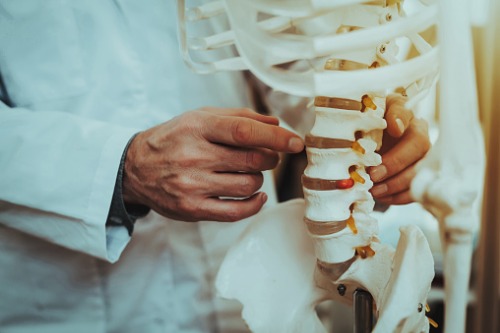ICWA funds spinal cord repair research