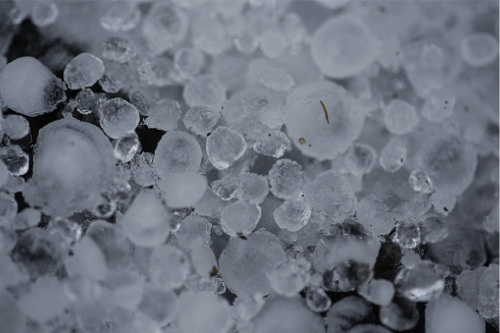 PERILS reveals final insured loss for January 2020 hailstorms
