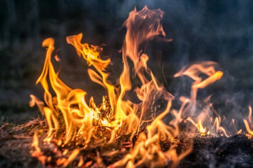 Soaring bushfire insurance premiums impede fire mitigation work