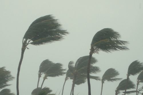 PERILS releases initial insurance loss estimate for Tropical Cyclone Seroja
