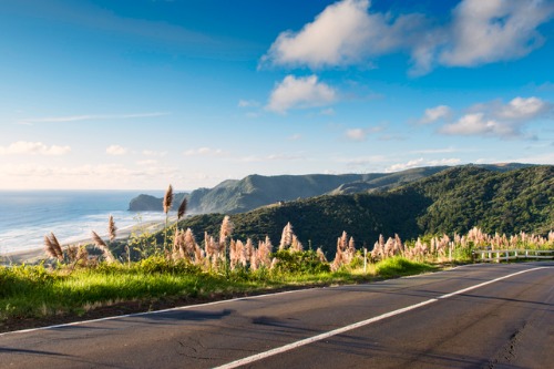Revealed: Australia's most dangerous road