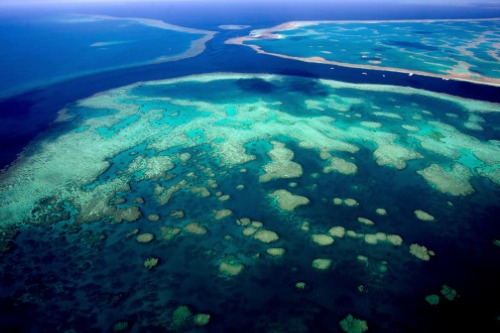 The Great Barrier Reef should be insured - Clyde & Co