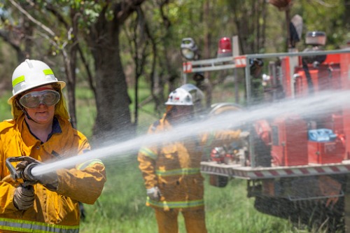 GB sends furry reinforcements to NSW Rural Fire Service