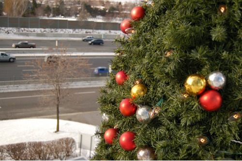 AAMI calls for a fatality-free festive season