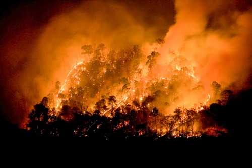 AM Best: Insurers can contend with mounting bushfire losses