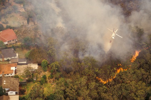 MPs announce bushfire recovery grants