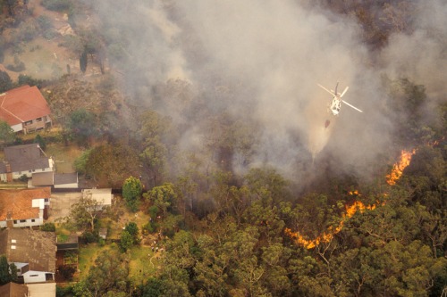 PERILS reveals initial estimate for "peak" Australian bushfire losses
