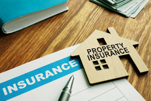 Pursuing profitable property coverage
