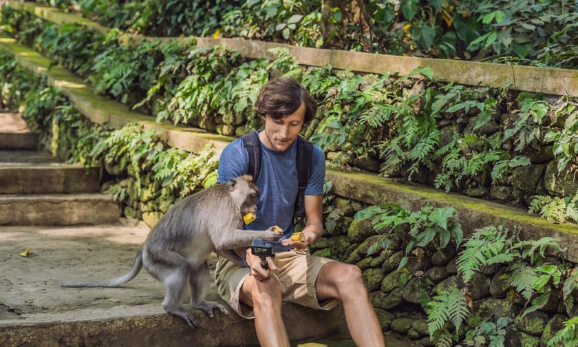 Lost phones and monkey trouble: Most common claims for Indonesia trips revealed