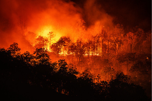 ICA backs Victoria bushfire funding, but warns of “unsustainable” insurance taxes