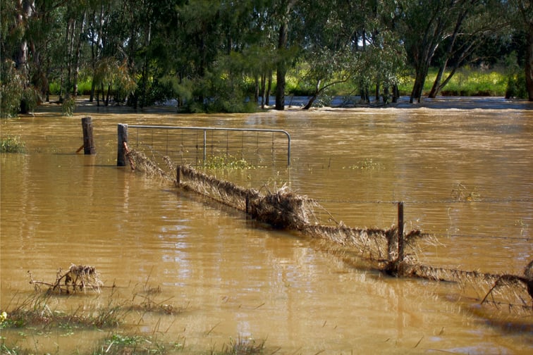 Government commits to helping Northern Rivers become flood resilient