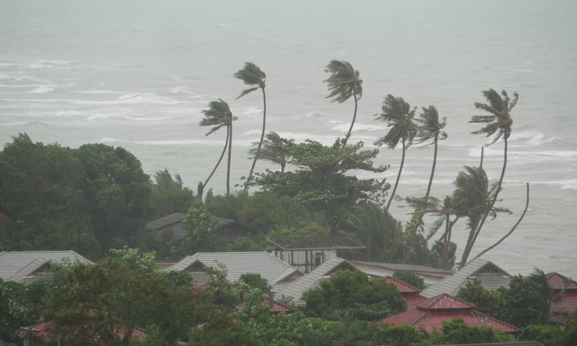 Is the Insurance Council’s response to Cyclone Pool concerns “disappointing”?