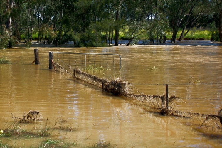 Insurers to visit Adelaide after devastating flood