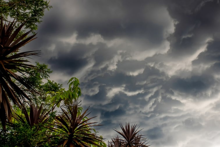 ICA reveals initial estimated losses for Tropical Cyclone Jasper