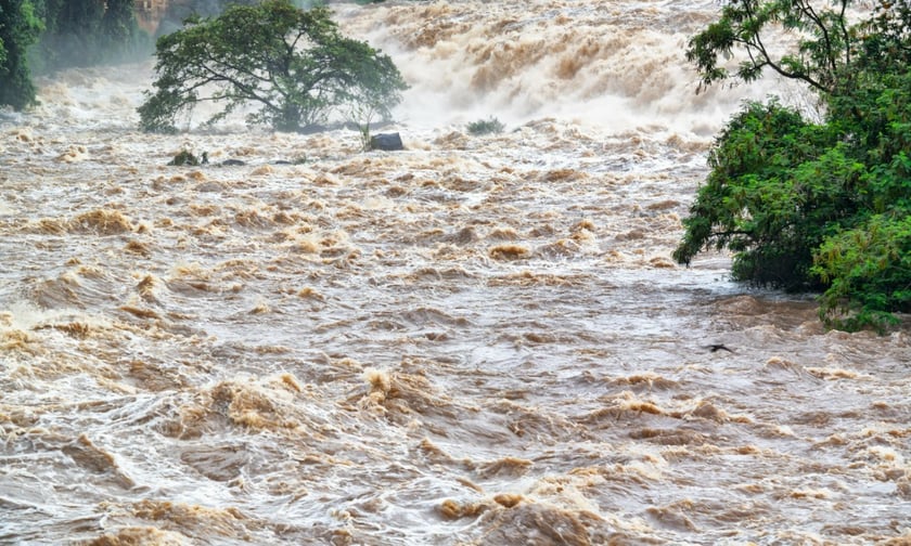 IAG races to repair ex-Tropical Cyclone Alfred property damage