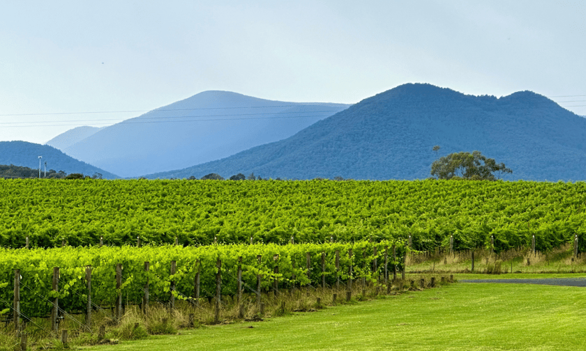 McLardy McShane expands into Yarra Valley in new joint venture