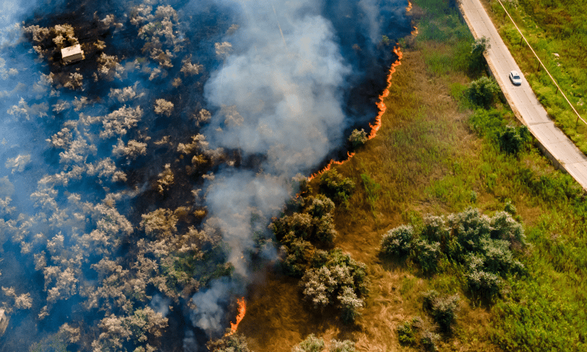 Bushfire risk study highlights vulnerabilities in Queensland's power network