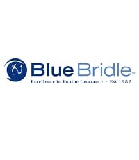 BLUE BRIDLE INSURANCE AGENCY