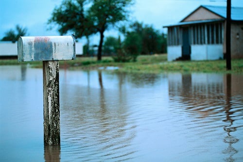 Producers take action as flood insurance bill looks unlikely