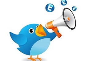 Boost your business potential on Twitter