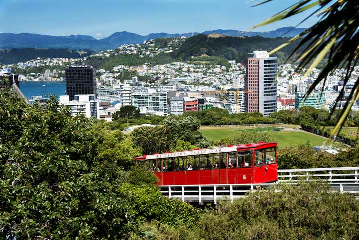 Zero carbon accelerator aimed at small business in Wellington