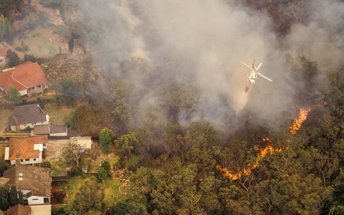 California wildfire atrocity continues - reports
