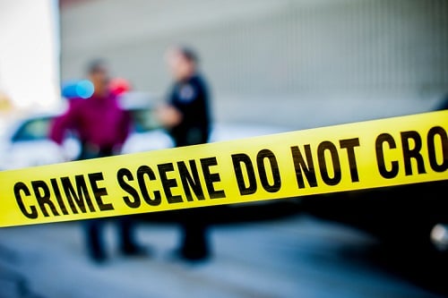 Woman kills man in hit-and-run, tells insurer damage is vandalism