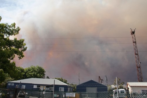 ICA declares bushfire catastrophe