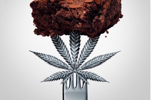 Green light for cannabis edibles and topicals to boost insurance market growth