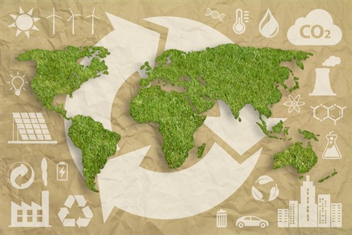 What does an environmental policy cover?
