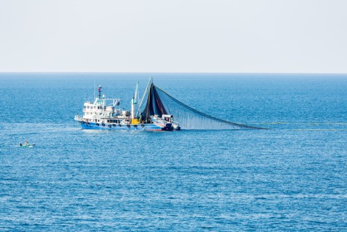 Insurers team up to tighten net on illegal fishing