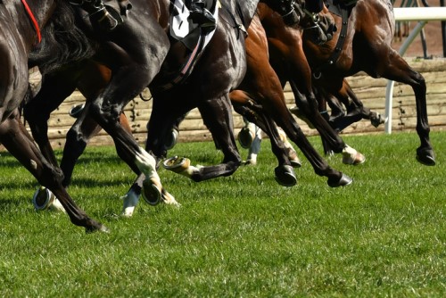 Far out Friday: Australian horse race ditches animals over insurance issue
