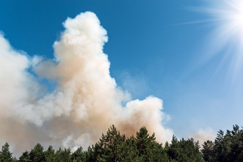 BC wildfire smoke could affect Okanagan wine and honey production
