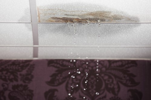 Are your clients protected from water damage?