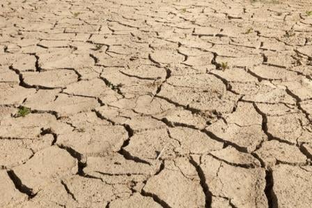 ASIC offers aid to drought-affected farmers and related businesses
