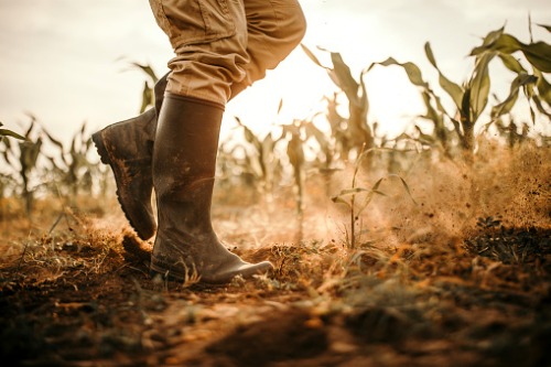 RACQ extends vital aid to drought-impacted farmers