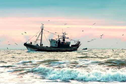 TSB slams fishing industry following deadliest year in a decade