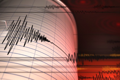 Kiwis back earthquake early warning system idea