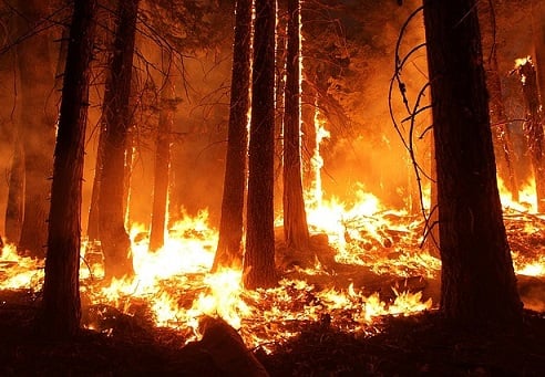 Insurers turning down policies in wildfire-prone areas